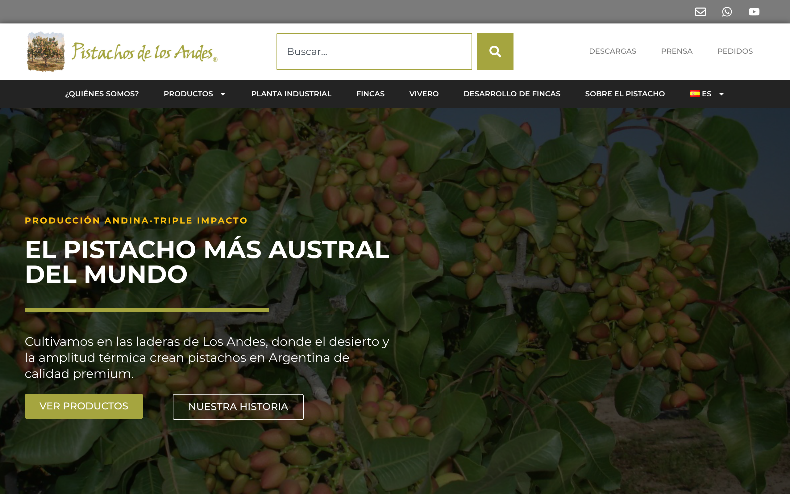 Pistachos de los Andes